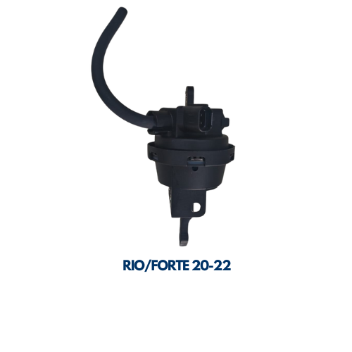 VALVULA DE PURGA RIO/ACCENT 20-22 NUEVO